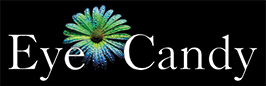 Eye candy graphics logo